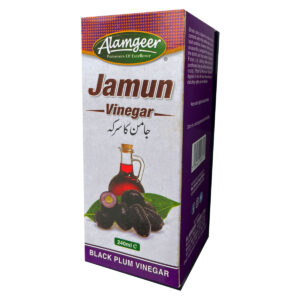 Alamgeer Vinegar Jamun 240ml X 12